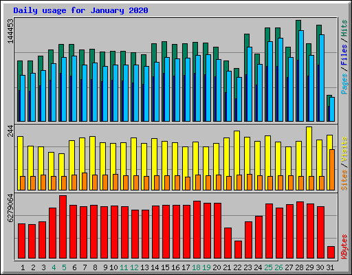 Daily usage for January 2020