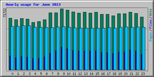 Hourly usage for June 2013