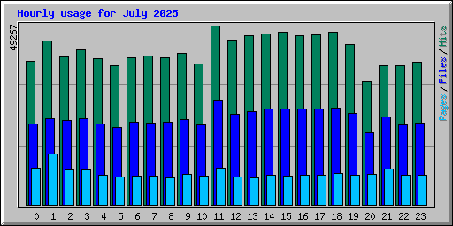 Hourly usage for July 2025
