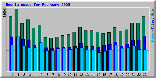 Hourly usage for February 2025