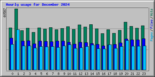 Hourly usage for December 2024