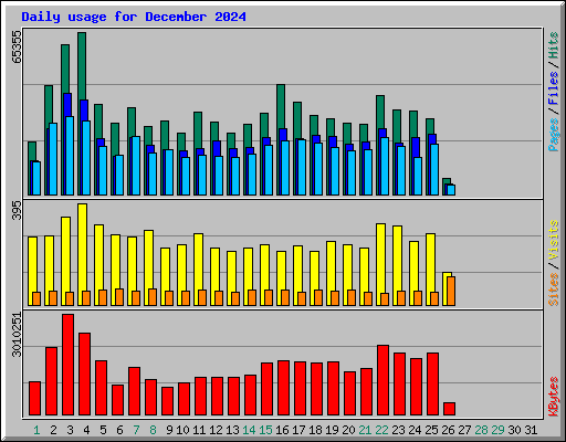 Daily usage for December 2024