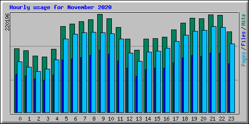 Hourly usage for November 2020