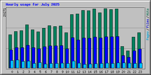 Hourly usage for July 2025