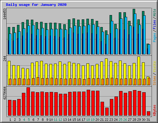 Daily usage for January 2020