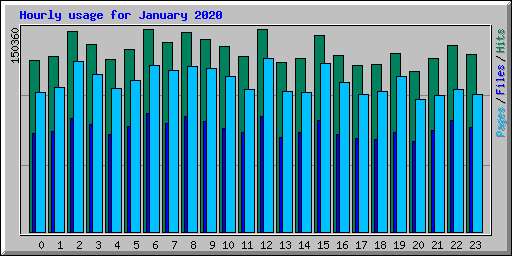 Hourly usage for January 2020