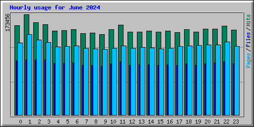 Hourly usage for June 2024