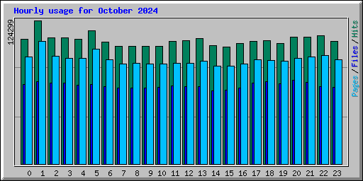 Hourly usage for October 2024