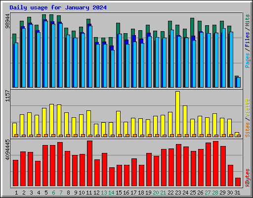 Daily usage for January 2024