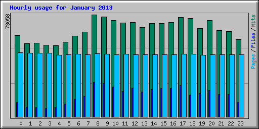 Hourly usage for January 2013