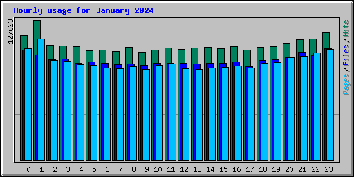 Hourly usage for January 2024